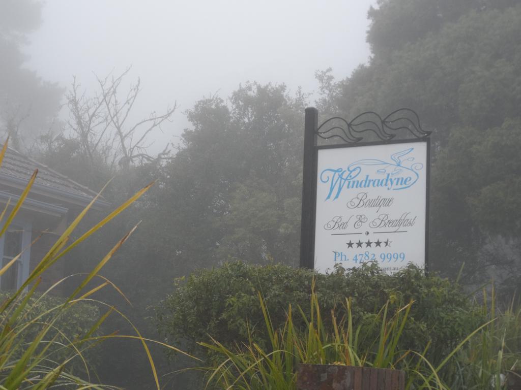 Windradyne Boutique Bed & Breakfast Катумба Экстерьер фото
